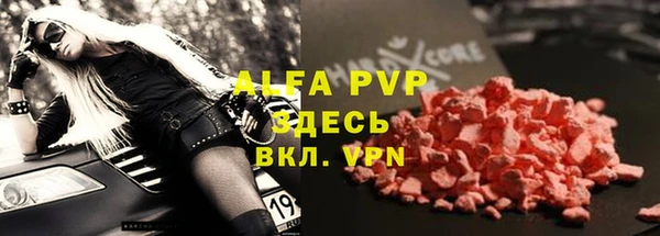 шишки Заволжск