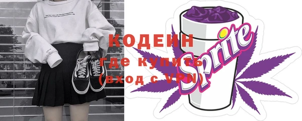 шишки Заволжск