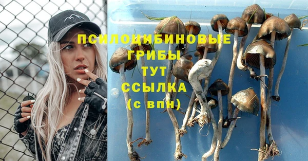 мескалин Зеленодольск