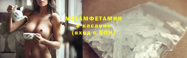 сатива Зеленокумск