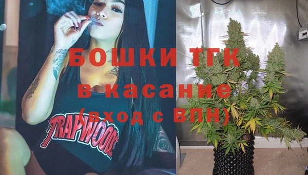 сатива Зеленокумск