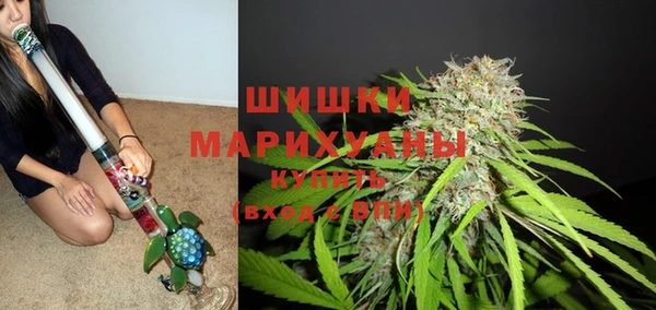 эйфоретик Заводоуковск