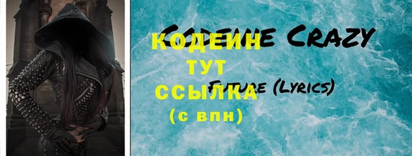 шишки Заволжск