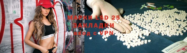 шишки Заволжск